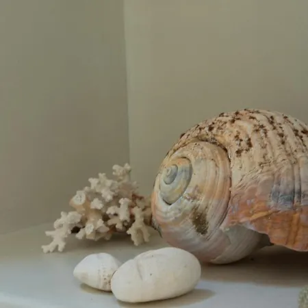 White Cycladic Town House With Sea Vew Σπίτι διακοπών Πάρος