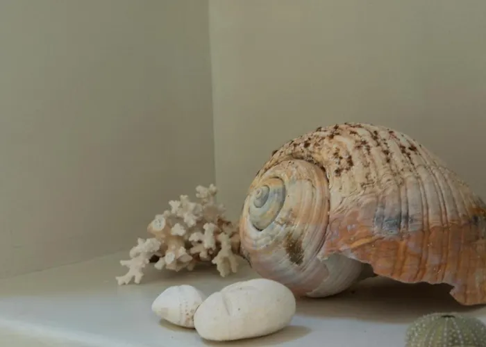 White Cycladic Town House With Sea Vew Holiday home Parikia (Paros)